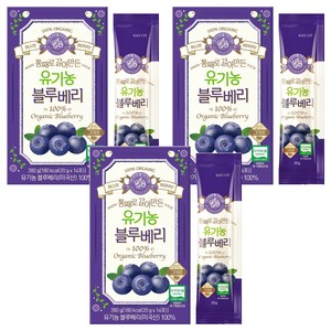 홀베리 통째로 갈아만든 유기농 블루베리, 20g, 42개
