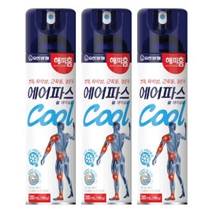 해피홈 에어파스 쿨 에어로솔 300ml, 1개입, 3개