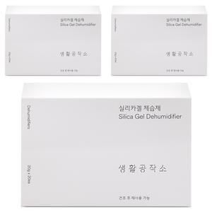 생활공작소 실리카겔 제습제 본품, 400g, 3개