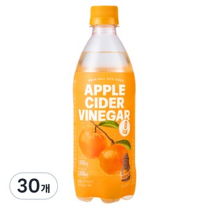 클룹 애사비소다 제주감귤 제로 탄산음료, 500ml, 30개