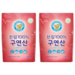 한입 100% 구연산, 1kg, 2개