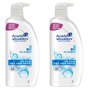 헤드앤숄더 두피 토탈 솔루션 딥클린 트리트먼트 달콤한향, 850ml, 2개
