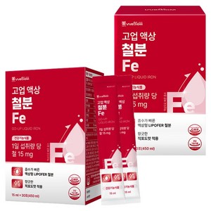 서울대위바이옴 고업 액상 철분 Fe 30p, 450ml, 2개