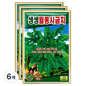 씨앗팜 생생 월동 시금치씨앗 재래종, 6개