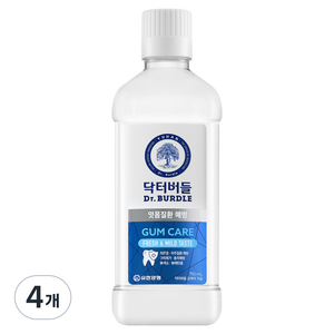 닥터버들 검케어 가글, 750ml, 4개