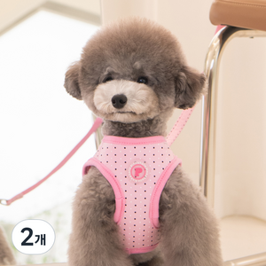 핑카홀릭 강아지 쇼콜라 산책 B형 하네스 HB7717, 핑크, 2개