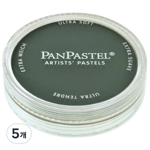 팬파스텔 PHTHALO GREEN EXTRA DARK 620.1 9ml, 5개, 1색