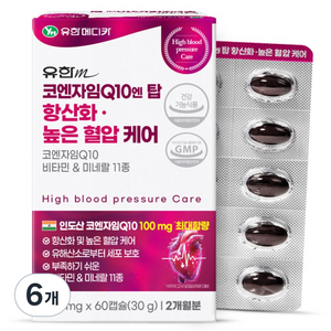 유한메디카 코엔자임 Q10 엔 탑 항산화 높은 혈압 케어 60p, 30g, 6개