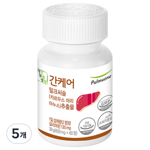 풀무원건강생활 간케어 밀크씨슬 추출물, 5개, 60정