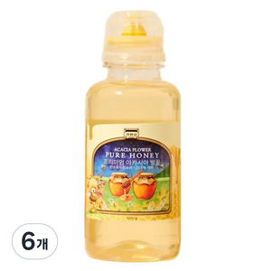 정원담 프리미엄 자연 아카시아 순수 벌 꿀, 6개, 500g