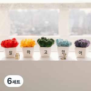 무지개 응원 스칸디아 모스화분 5종 + 피규어 랜덤발송 2p 세트 잘하고있어, 6세트