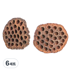 조류용 연자방 2종 세트, 브라운, 6세트