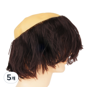 파티짱 사오정 가발, 브라운, 5개