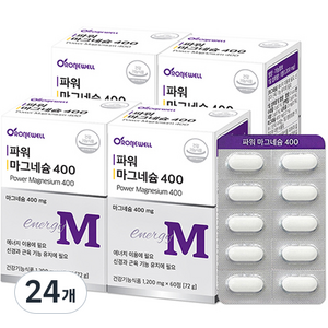 로니웰 파워 마그네슘 400, 24개, 60정