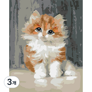 더웨일 DIY 유화 명화그리기 50 x 40 cm 고양이, 복실복실 고양이, 3개