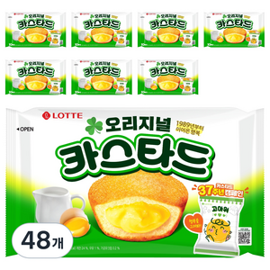 롯데카스타드 오리지널, 230g, 48개