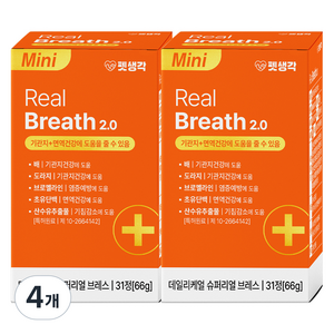 펫생각 강아지 데일리케얼 영양제, 31정, 호흡기/기관지, 4개