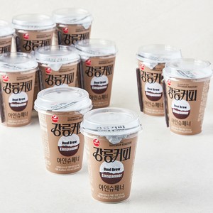 강릉커피 서울우유 듀얼브루 아인슈페너, 10개, 250ml