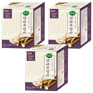순작 연근우엉차, 800mg, 40개입, 3개