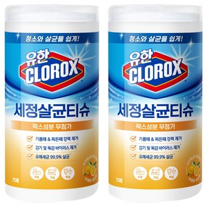 유한클로락스 세정살균티슈 시트러스블렌드 75매, 2개