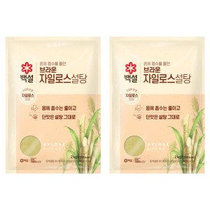 백설 자일로스 설탕, 2kg, 2개