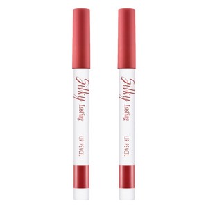 미샤 실키래스팅 립 펜슬 0.25g, 커피베리, 2개