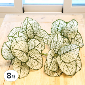 조아트 인테리어 조화 나뭇잎 인조식물 장식 칼라디움 30cm, 스노우, 8개