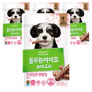 풀무원아미오 강아지 건강담은 덴탈껌, 레드, 100g, 4개