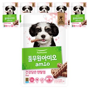 풀무원아미오 강아지 건강담은 덴탈껌, 레드, 100g, 6개