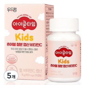 아이클타임 두드림 츄어블 철분 엽산 비타민C 15g, 5개, 30정