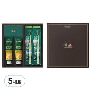 죽염 프리미엄 덴탈케어 치약, 5세트, 20g