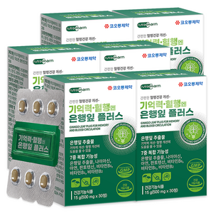 코오롱제약 기억력 혈행엔 은행잎 플러스, 30정, 6개