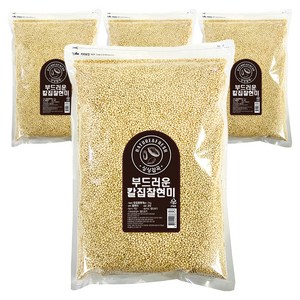 싱싱잡곡 부드러운 칼집 찰현미, 3kg, 4개