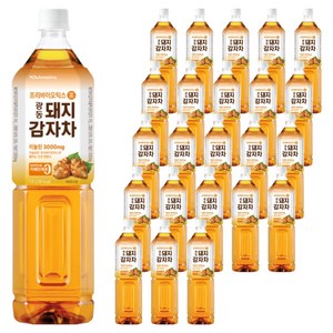 광동제약 돼지감자차, 1.5L, 24개