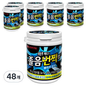 롯데웰푸드 확 깨는 졸음번쩍 껌 울트라 파워, 80g, 48개