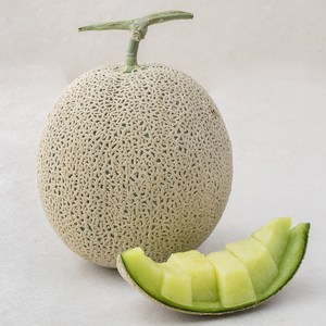 곡성 고당도 맘에쏙 멜론, 1.9kg, 1개 골드박스 특가