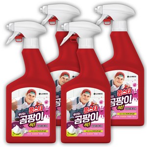 홈스타 맥스프레쉬 뿌리는 곰팡이 싹 세정제, 900ml, 4개