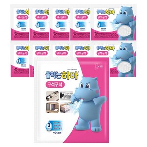 물먹는하마 구석구석, 200g, 10개