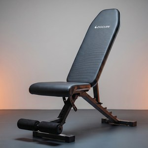 이고진 인클라인벤치 벤치프레스 EX500, 블랙