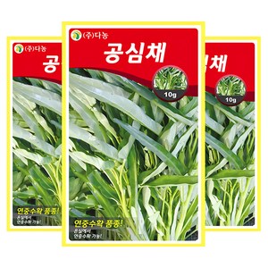 다농 공심채 씨앗, 3개
