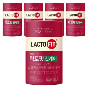 락토핏 간케어 유산균 60p, 120g, 5개