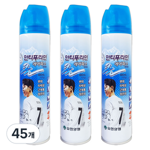 안티푸라민 쿨 에어파스 300mL, 1개입, 45개