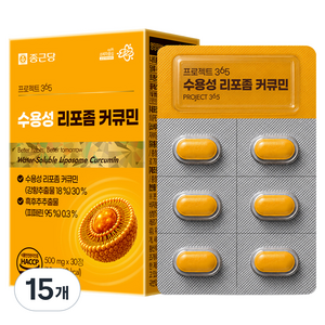 종근당 프로젝트 365 수용성 리포좀 커큐민 500mg, 15개, 30정