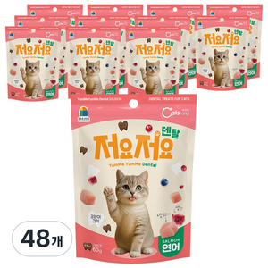 캐츠랑 고양이 저요저요 덴탈 간식, 연어, 60g, 48개