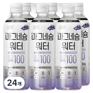 티에프티 마그네슘 워터, 500ml, 24개