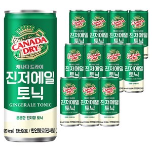캐나다드라이 진저에일 토닉, 250ml, 12개
