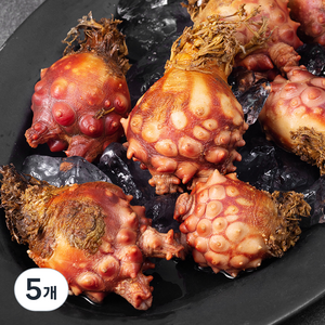 남해안 산지직송 생물 피멍게 (냉장), 1kg, 5개