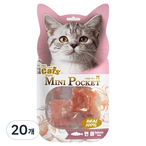 더캣츠 고양이 그대로미니포켓 육포 간식, 연어, 40g, 20개