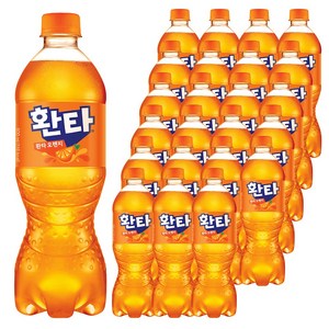 환타 오렌지 탄산음료, 600ml, 24개