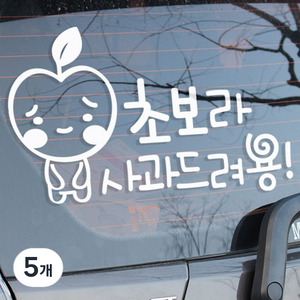사과초보 차량용 스티커, 화이트, 5개